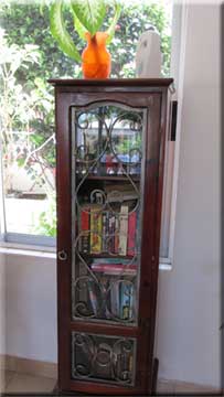 Bookcase and view